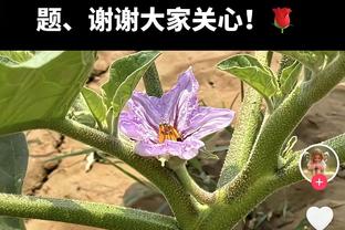 菲利克斯本场数据：1射1正1粒进球，9次丢失球权，评分7.0